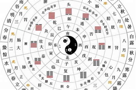 龍字 五行 夢見老鷹飛向我